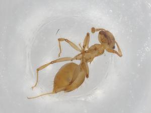  ( - BIOUG85537-B04)  @11 [ ] CreativeCommons - Attribution (2022) Centre for Biodiversity Genomics Centre for Biodiversity Genomics