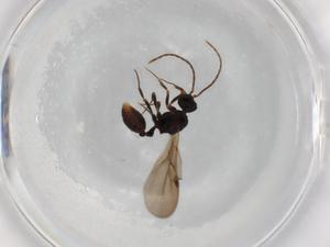  ( - BIOUG85538-G05)  @11 [ ] CreativeCommons - Attribution (2022) Centre for Biodiversity Genomics Centre for Biodiversity Genomics