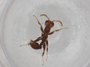  ( - BIOUG87001-B08)  @11 [ ] CreativeCommons - Attribution (2022) Centre for Biodiversity Genomics Centre for Biodiversity Genomics