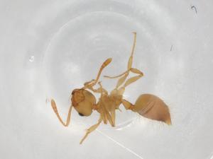  ( - BIOUG87002-B12)  @11 [ ] CreativeCommons - Attribution (2022) Centre for Biodiversity Genomics Centre for Biodiversity Genomics