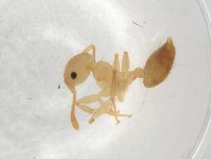  ( - BIOUG87761-A05)  @11 [ ] CreativeCommons - Attribution (2022) Centre for Biodiversity Genomics Centre for Biodiversity Genomics