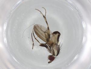  ( - BIOUG91830-D04)  @11 [ ] CreativeCommons - Attribution (2022) Centre for Biodiversity Genomics Centre for Biodiversity Genomics