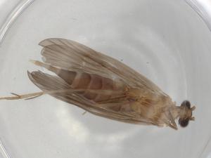  ( - BIOUG93695-H07)  @11 [ ] CreativeCommons - Attribution (2022) Centre for Biodiversity Genomics Centre for Biodiversity Genomics