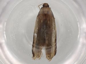  ( - BIOUG94214-F01)  @11 [ ] CreativeCommons - Attribution (2022) Centre for Biodiversity Genomics Centre for Biodiversity Genomics