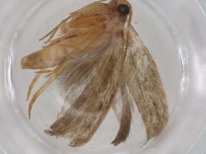  ( - BIOUG94254-C09)  @11 [ ] CreativeCommons - Attribution (2022) Centre for Biodiversity Genomics Centre for Biodiversity Genomics