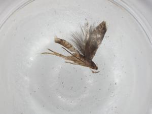  ( - BIOUG94254-D01)  @11 [ ] CreativeCommons - Attribution (2022) Centre for Biodiversity Genomics Centre for Biodiversity Genomics