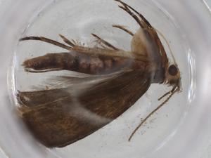  ( - BIOUG94254-E10)  @11 [ ] CreativeCommons - Attribution (2022) Centre for Biodiversity Genomics Centre for Biodiversity Genomics