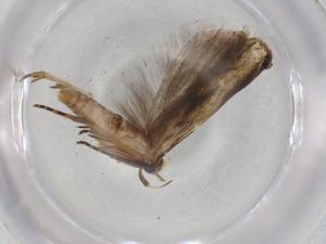  ( - BIOUG94254-F08)  @11 [ ] CreativeCommons - Attribution (2022) Centre for Biodiversity Genomics Centre for Biodiversity Genomics