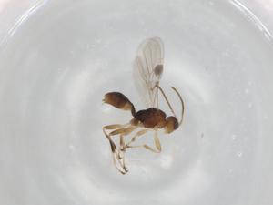  ( - BIOUG94267-C09)  @11 [ ] CreativeCommons - Attribution (2022) Centre for Biodiversity Genomics Centre for Biodiversity Genomics