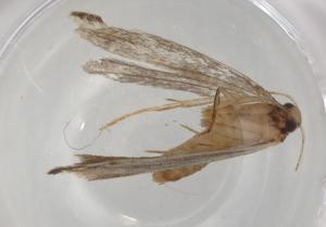  ( - BIOUG95217-H05)  @11 [ ] CreativeCommons - Attribution (2022) Centre for Biodiversity Genomics Centre for Biodiversity Genomics