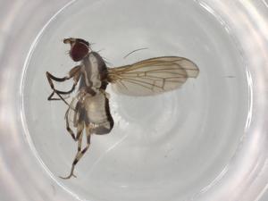  ( - BIOUG96035-H10)  @11 [ ] CreativeCommons - Attribution (2022) Centre for Biodiversity Genomics Centre for Biodiversity Genomics