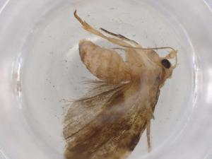  ( - BIOUG92366-C06)  @11 [ ] CreativeCommons - Attribution (2023) Centre for Biodiversity Genomics Centre for Biodiversity Genomics