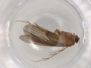  ( - BIOUG98722-D05)  @11 [ ] CreativeCommons - Attribution (2023) Centre for Biodiversity Genomics Centre for Biodiversity Genomics