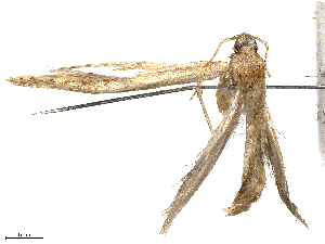  ( - CBG-A08725-D05)  @11 [ ] CreativeCommons - Attribution Share - Alike (2023) CBG Photography Group Centre for Biodiversity Genomics