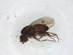 ( - CBG-A10615-H10)  @11 [ ] CreativeCommons - Attribution Share - Alike (2023) Centre for Biodiversity Genomics Centre for Biodiversity Genomics