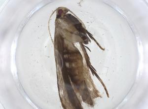  ( - CBG-A10628-D10)  @11 [ ] CreativeCommons - Attribution Share - Alike (2023) Centre for Biodiversity Genomics Centre for Biodiversity Genomics