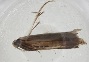  ( - CBG-A10702-D09)  @11 [ ] CreativeCommons - Attribution Share - Alike (2023) Centre for Biodiversity Genomics Centre for Biodiversity Genomics