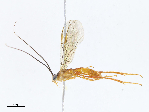  ( - CBG-A10814-C04)  @11 [ ] CreativeCommons - Attribution Share - Alike (2023) CBG Photography Group Centre for Biodiversity Genomics
