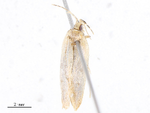  ( - CBG-A10815-H06)  @11 [ ] CreativeCommons - Attribution Share - Alike (2023) CBG Photography Group Centre for Biodiversity Genomics