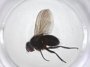  ( - CBG-A37119-C01)  @11 [ ] CreativeCommons - Attribution Share - Alike (2024) Centre for Biodiversity Genomics Centre for Biodiversity Genomics
