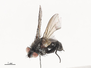  ( - CBG-A41905-B10)  @11 [ ] CreativeCommons - Attribution Share - Alike (2024) CBG Photography Group Centre for Biodiversity Genomics