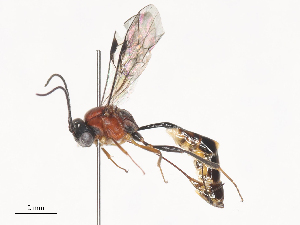  ( - CBG-A41905-F10)  @11 [ ] CreativeCommons - Attribution Share - Alike (2024) CBG Photography Group Centre for Biodiversity Genomics