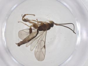  ( - CBG-A54594-B06)  @11 [ ] CreativeCommons - Attribution Share - Alike (2024) Centre for Biodiversity Genomics Centre for Biodiversity Genomics