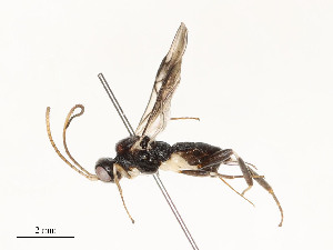  ( - CBG-A58701-D09)  @11 [ ] CreativeCommons - Attribution Share - Alike (2025) CBG Photography Group Centre for Biodiversity Genomics