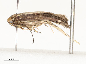  ( - CBG-A58702-B02)  @11 [ ] CreativeCommons - Attribution Share - Alike (2025) CBG Photography Group Centre for Biodiversity Genomics