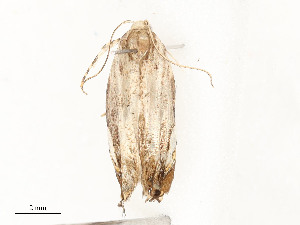  ( - CBG-A58702-B06)  @11 [ ] CreativeCommons - Attribution Share - Alike (2025) CBG Photography Group Centre for Biodiversity Genomics