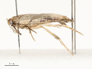  ( - CBG-A58702-B07)  @11 [ ] CreativeCommons - Attribution Share - Alike (2025) CBG Photography Group Centre for Biodiversity Genomics