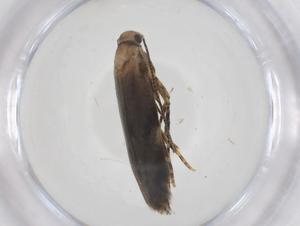  ( - CBG-A59568-C06)  @11 [ ] CreativeCommons - Attribution Share - Alike (2024) Centre for Biodiversity Genomics Centre for Biodiversity Genomics