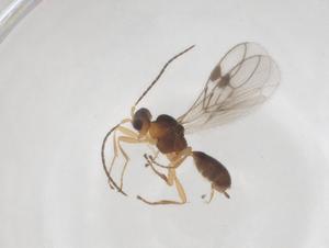  ( - CBG-A59568-D06)  @11 [ ] CreativeCommons - Attribution Share - Alike (2024) Centre for Biodiversity Genomics Centre for Biodiversity Genomics