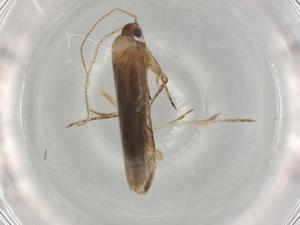  ( - BIOUG77513-G04)  @11 [ ] CreativeCommons - Attribution (2022) Centre for Biodiversity Genomics Centre for Biodiversity Genomics