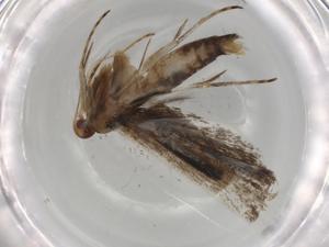  ( - BIOUG77646-B12)  @11 [ ] CreativeCommons - Attribution (2022) Centre for Biodiversity Genomics Centre for Biodiversity Genomics