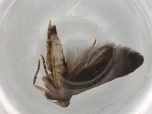  ( - BIOUG78454-C01)  @11 [ ] CreativeCommons - Attribution (2022) Centre for Biodiversity Genomics Centre for Biodiversity Genomics