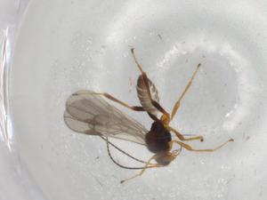  ( - BIOUG82124-C10)  @11 [ ] CreativeCommons - Attribution (2022) Centre for Biodiversity Genomics Centre for Biodiversity Genomics