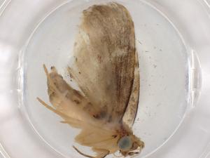  ( - BIOUG82904-B08)  @11 [ ] CreativeCommons - Attribution (2022) Centre for Biodiversity Genomics Centre for Biodiversity Genomics