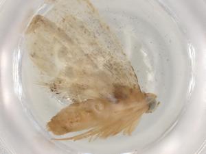  ( - BIOUG82957-E05)  @11 [ ] CreativeCommons - Attribution (2022) Centre for Biodiversity Genomics Centre for Biodiversity Genomics