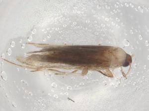  ( - BIOUG84022-E10)  @11 [ ] CreativeCommons - Attribution (2022) Centre for Biodiversity Genomics Centre for Biodiversity Genomics