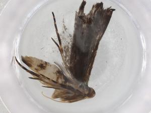  ( - BIOUG84101-E04)  @11 [ ] CreativeCommons - Attribution (2022) Centre for Biodiversity Genomics Centre for Biodiversity Genomics