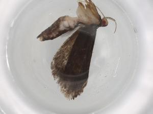  ( - BIOUG85360-A01)  @11 [ ] CreativeCommons - Attribution (2022) Centre for Biodiversity Genomics Centre for Biodiversity Genomics