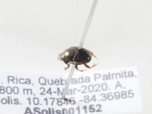  ( - ASolis001152)  @11 [ ] CreativeCommons Attribution NonCommercial ShareAlike (2021) Angel Solis BioAlfa