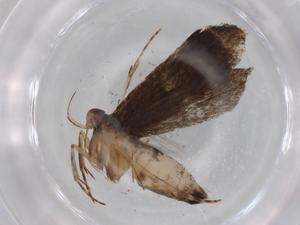  ( - BIOUG77564-C10)  @11 [ ] CreativeCommons - Attribution (2022) Centre for Biodiversity Genomics Centre for Biodiversity Genomics