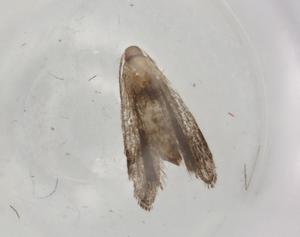  ( - BIOUG78897-A05)  @11 [ ] CreativeCommons - Attribution (2022) Centre for Biodiversity Genomics Centre for Biodiversity Genomics