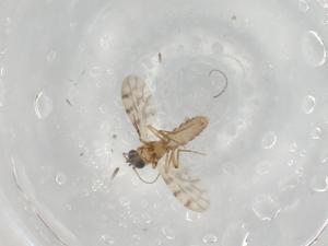  ( - BIOUG89658-D09)  @11 [ ] CreativeCommons - Attribution (2022) Centre for Biodiversity Genomics Centre for Biodiversity Genomics