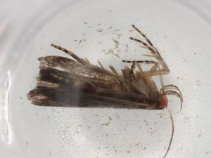  ( - BIOUG90242-F08)  @11 [ ] CreativeCommons - Attribution (2022) Centre for Biodiversity Genomics Centre for Biodiversity Genomics