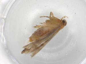  ( - BIOUG90454-E01)  @11 [ ] CreativeCommons - Attribution (2022) Centre for Biodiversity Genomics Centre for Biodiversity Genomics