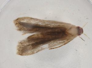  ( - BIOUG90506-D03)  @11 [ ] CreativeCommons - Attribution (2022) Centre for Biodiversity Genomics Centre for Biodiversity Genomics