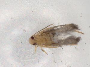  ( - BIOUG90538-C10)  @11 [ ] CreativeCommons - Attribution (2022) Centre for Biodiversity Genomics Centre for Biodiversity Genomics